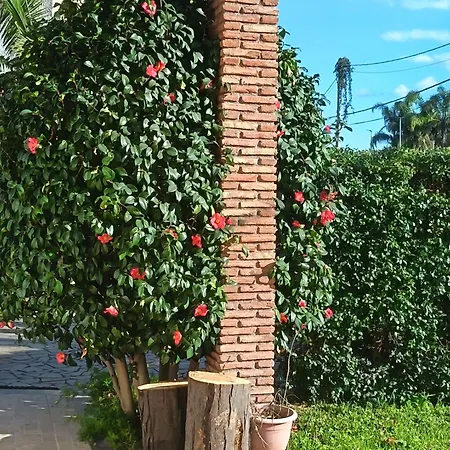 Mariposa Casa de Férias Aci SantʼAntonio